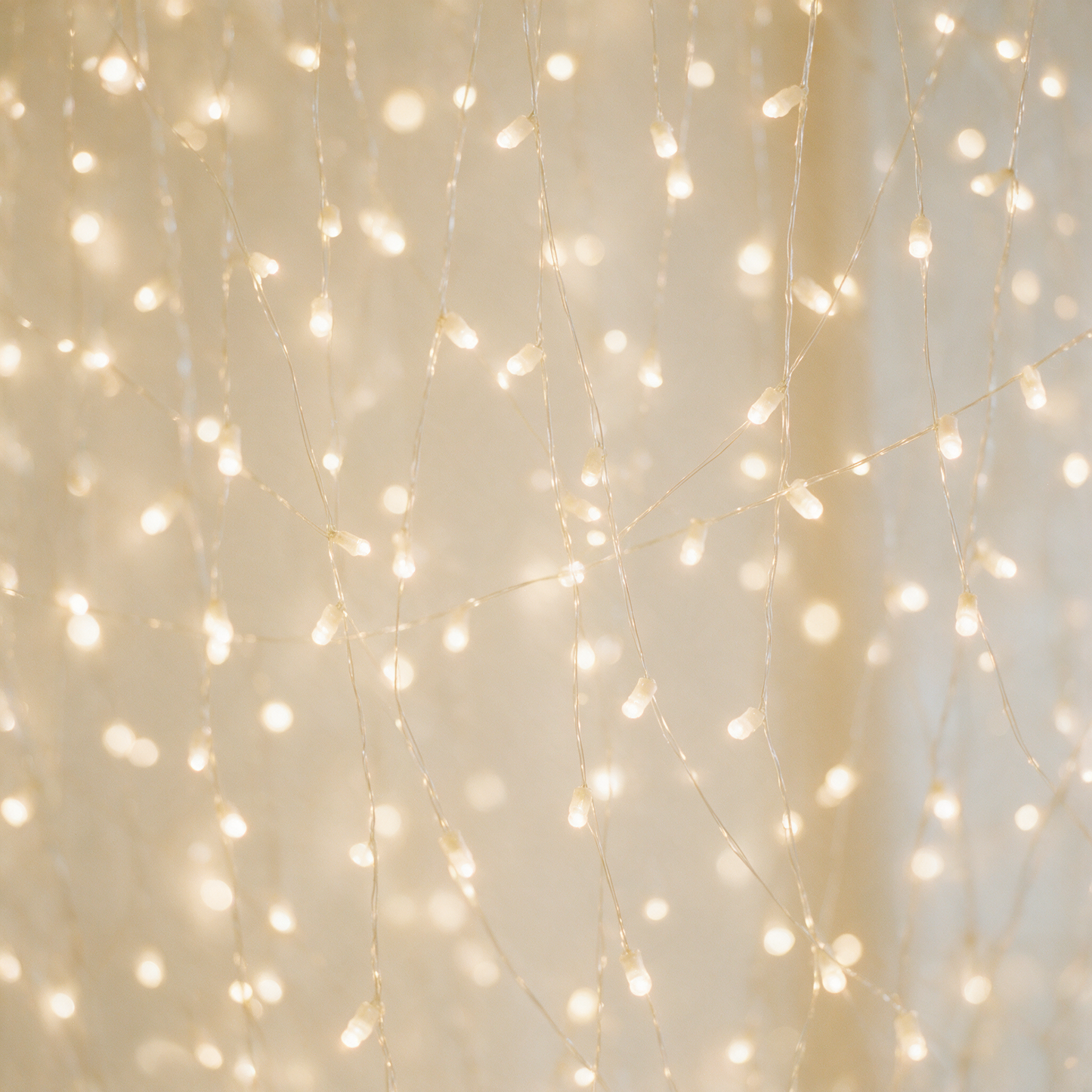 Close up of TwinkleCurtain warm white fairy light bulbs