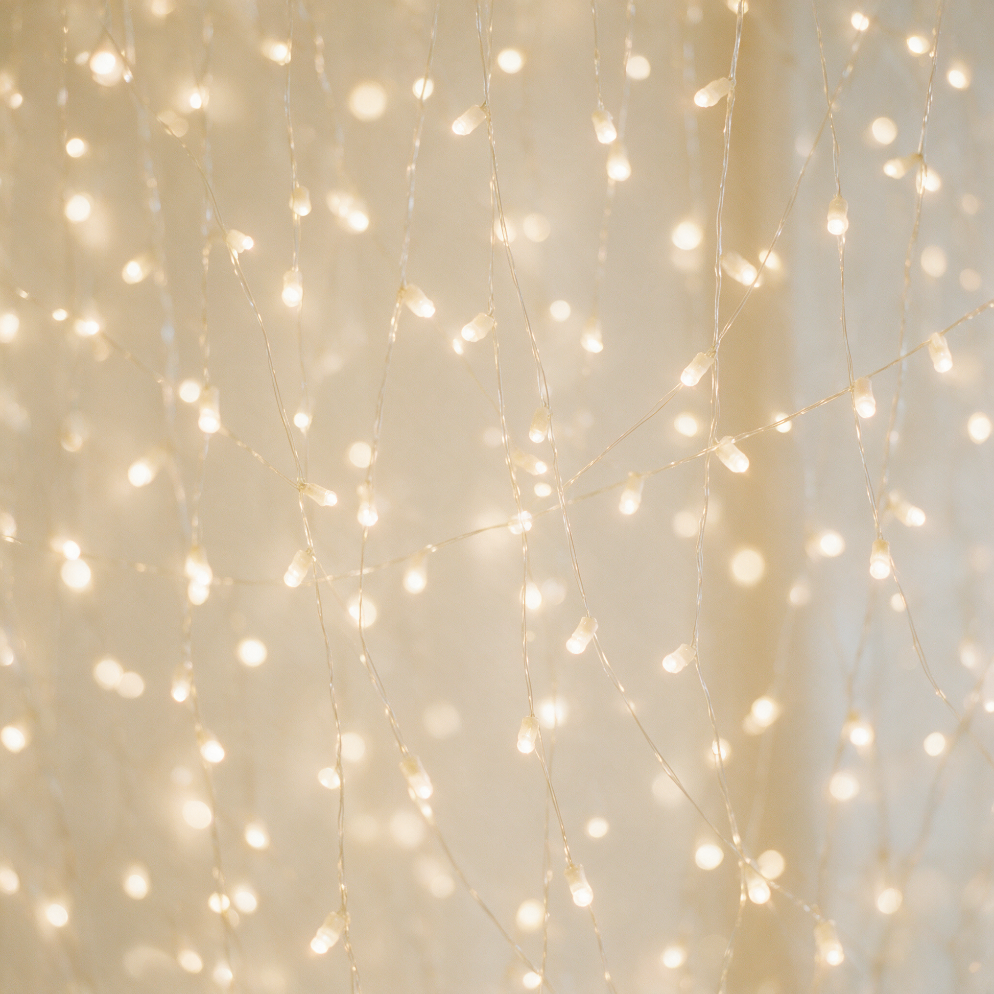 Close up of TwinkleCurtain warm white fairy light bulbs