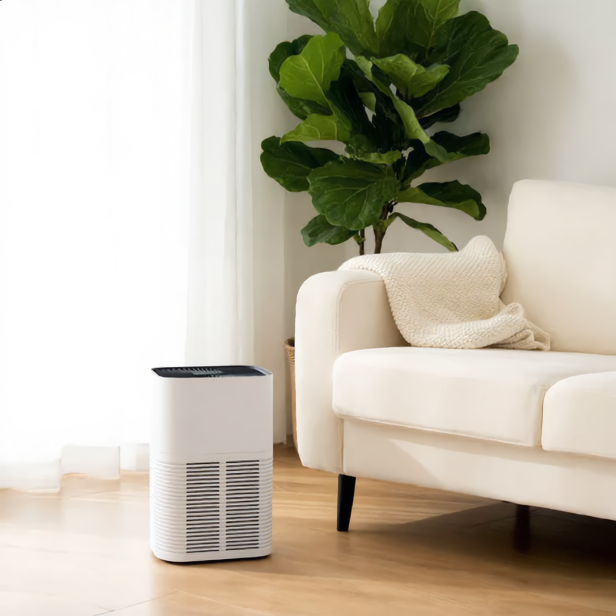 Air purifier beside a sofa in a bright living room